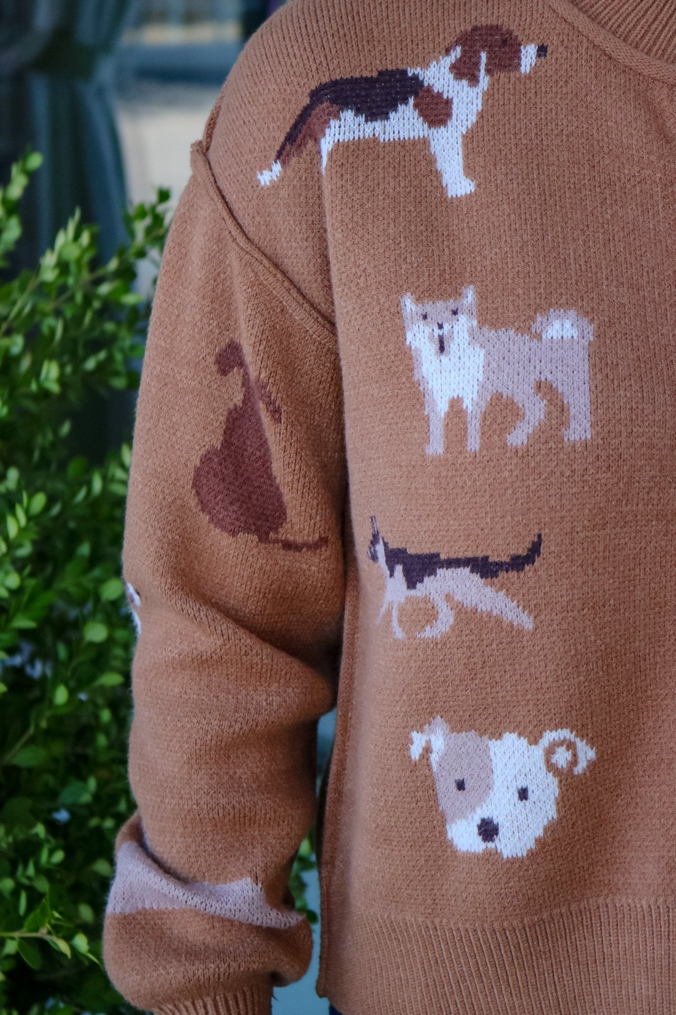 Dog Days Cardigan - Olive You BoutiqueOLIVE YOU237862J34127