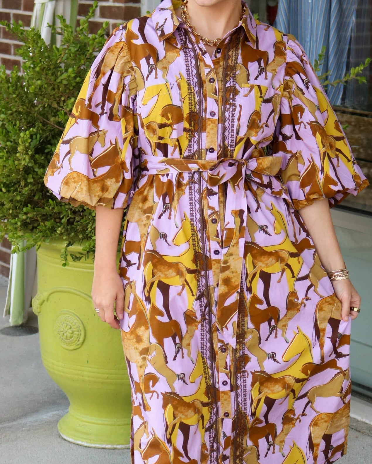 Horsing Around Midi Dress - Olive You BoutiqueUNCLE FRANK23119672686