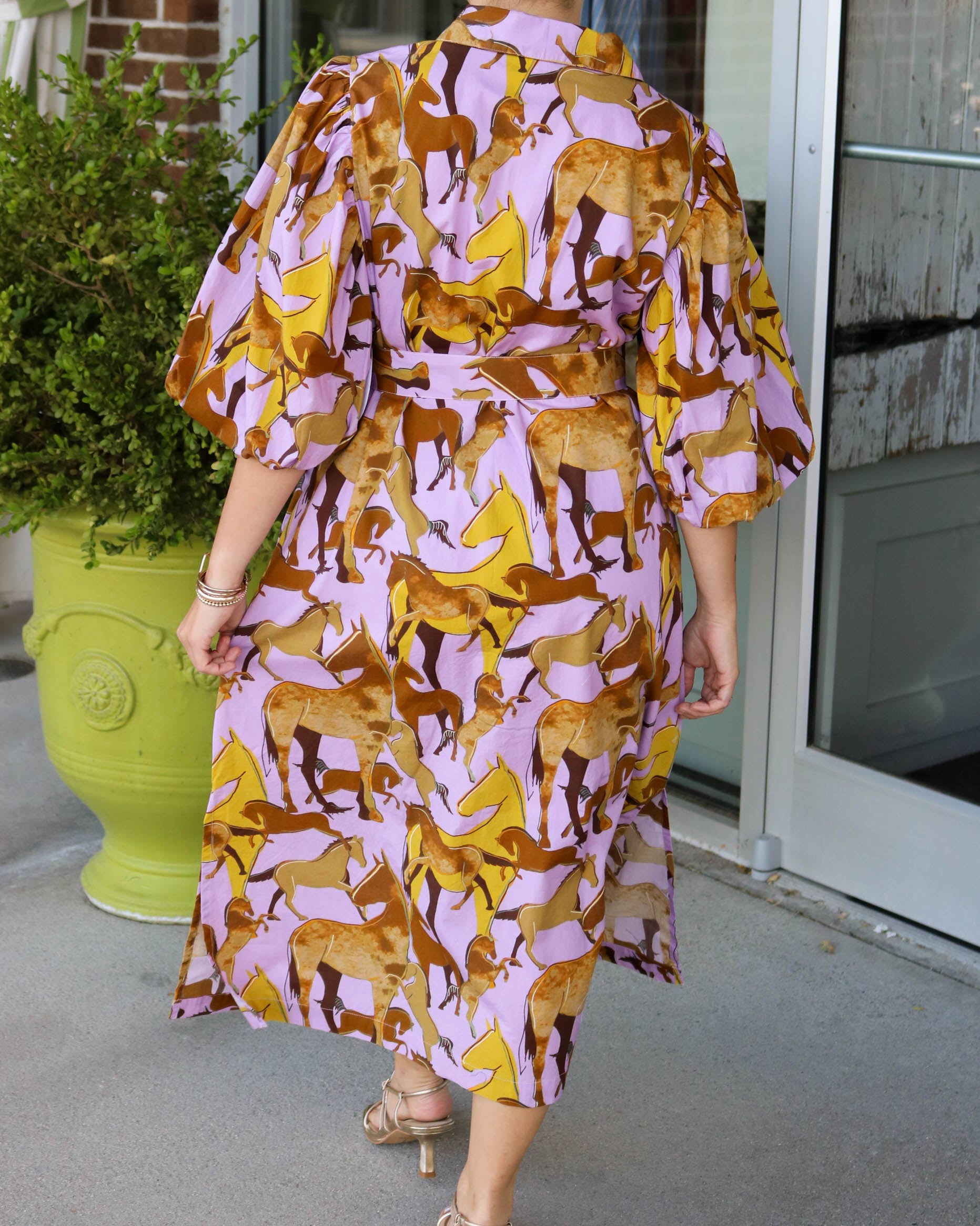 Horsing Around Midi Dress - Olive You BoutiqueUNCLE FRANK23119672686